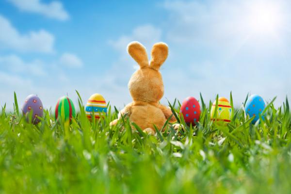 Weird Easter – What’s Up with the Easter Bunny? The big goofy rabbit hops around the world delivering baskets full of colored eggs and candy to the kiddies
