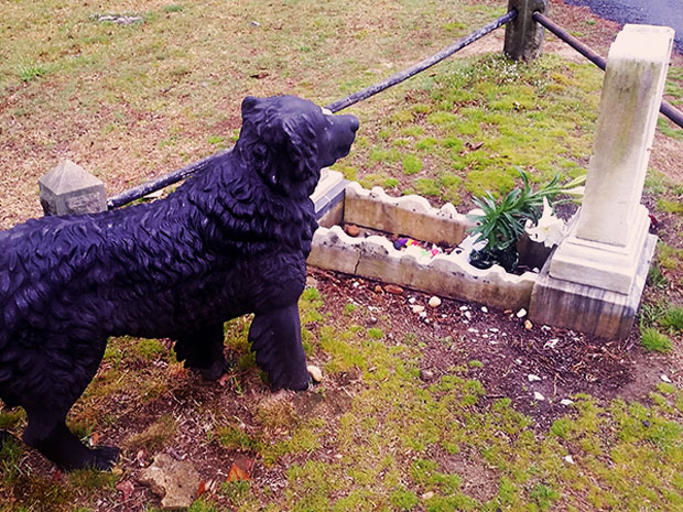 hollywood cemetery iron dog