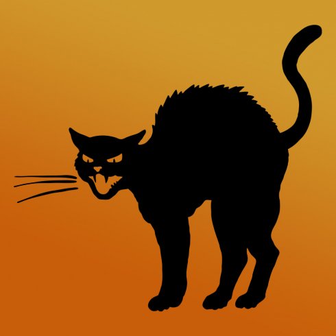 Fiesty Black & Orange Halloween Evil Cat 