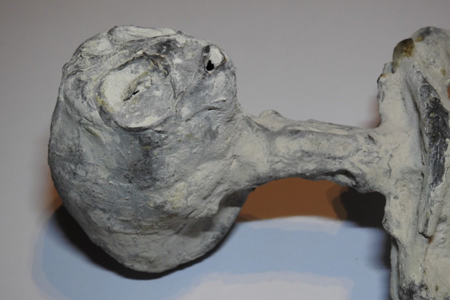 Peruvian mummy head