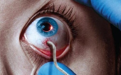 Guillermo del Toro and Carlton Cuse Infect the Small Screen with The Strain FX Network Debuts it's New Take on Vampire Lore