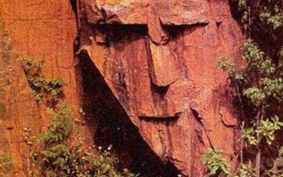 Adventures in Pareidolia From Mars to clouds to a dog's butt, we see what our brains tell us to see