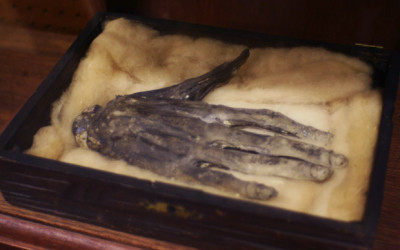 Hand of Glory – Macabre Magic According to legend, the dried and pickled hand of a hanged man possesses sinister powers