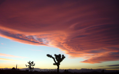 The Spooky Desert Magic of Glenn Frey Eagles great dies at 67