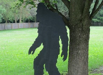 Florida Sheriff Department Joins Hunt for Towering Bigfoot Tampa Bay area subject to sightings of every stripe