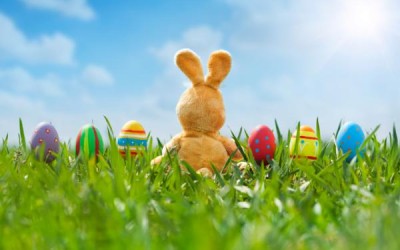 Weird Easter – What’s Up with the Easter Bunny? The big goofy rabbit hops around the world delivering baskets full of colored eggs and candy to the kiddies