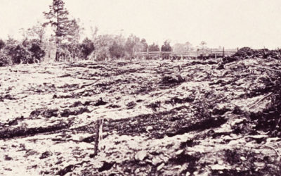 The Haunted Civil War Battleground of Cold Harbor  Full-body apparitions of soldiers wander the grounds