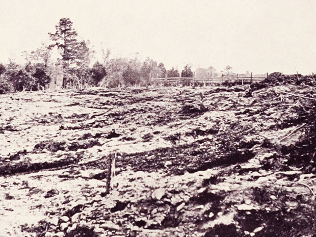 The Haunted Civil War Battleground of Cold Harbor  Full-body apparitions of soldiers wander the grounds