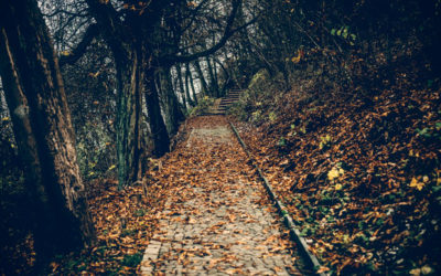 America’s Most Haunted Hiking Trails 12 treks that thrill