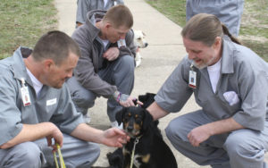 Bad Seed Inmates working to train dogs in the "Puppies for Parole" program (Jefferson City, Missouri)