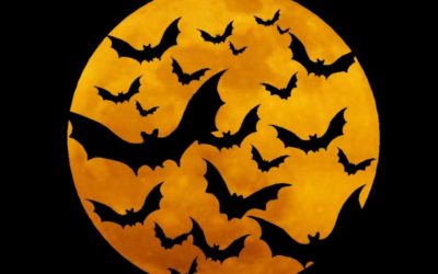 Halloween Symbols – Release the Bats Bring on the furtive, winged, nocturnal mammals that roost upside down in creepy caves, decrepit barns, and moldering crypts