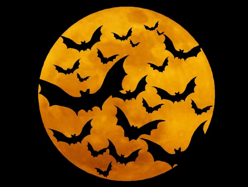 Halloween Symbols – Release the Bats Bring on the furtive, winged, nocturnal mammals that roost upside down in creepy caves, decrepit barns, and moldering crypts