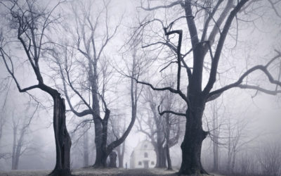 The Macabre Origins of Favorite Fairy Tales Murder, cannibalism, rape, abandonment, dismemberment, dashed dreams
