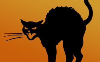 Halloween Symbols – The Black Cat From ancient Egypt to the witches broomstick